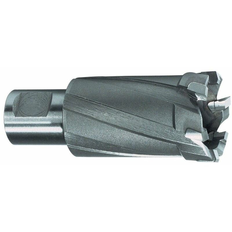 

Ruko 108723 - Broca Hueca Dientes Metal Duro Vástago Weldon (Ø 23 Mm)