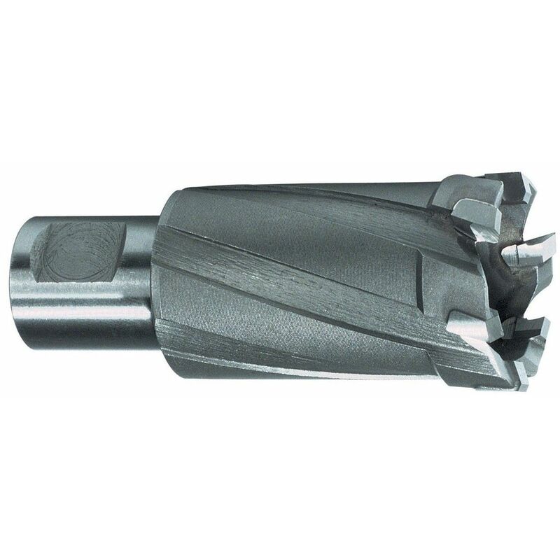 

RUKO 108750 - Broca hueca dientes metal duro vástago Weldon (Ø 50 mm)