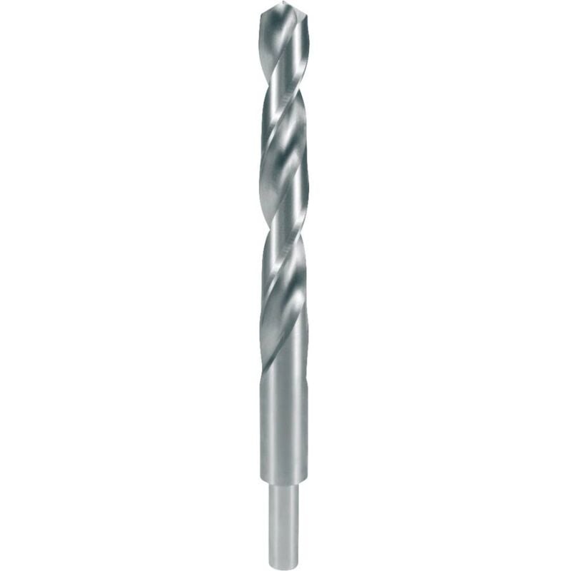 2004110 hss-g Punta a spirale per legno 11 mm