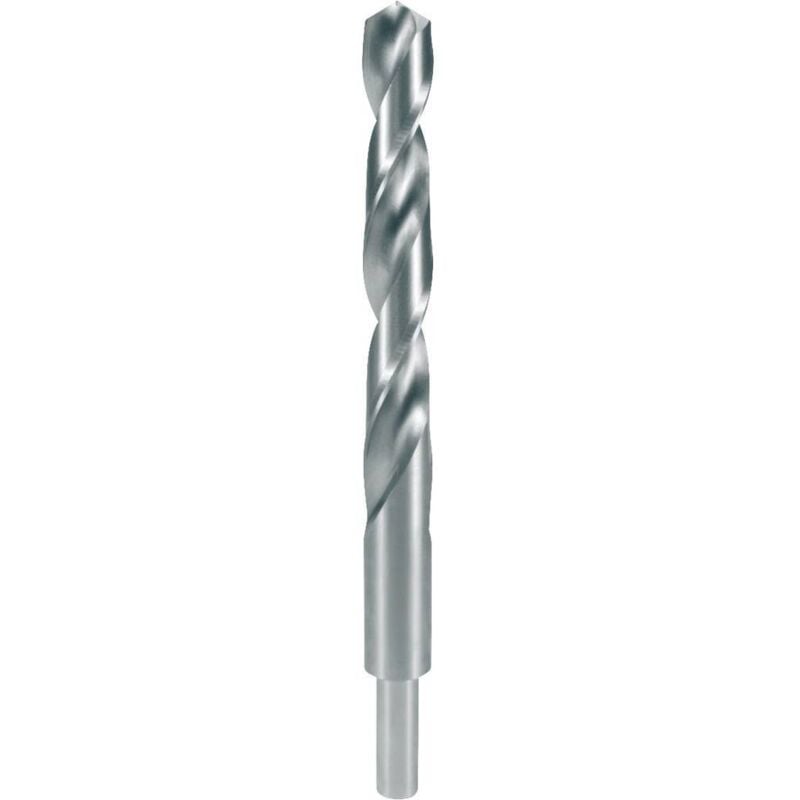 2004170 hss-g Punta a spirale per legno 17 mm