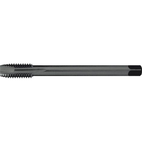 RUKO Taraudeuse HSSE-Co 5 DIN 376 Forme B vaporisée M 20 - 232200VA