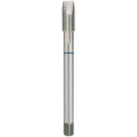 RUKO Taraudeuse manuelle HSS Forme B PG 16 mm - 264016