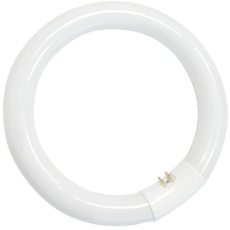 Rundleuchtstoffröhre 32W T9 6400K GSC 2000590