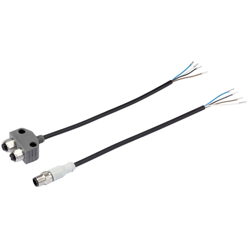 Bürkert Stecker 919061 Polzahl: 8 30 V (max) 1 St.