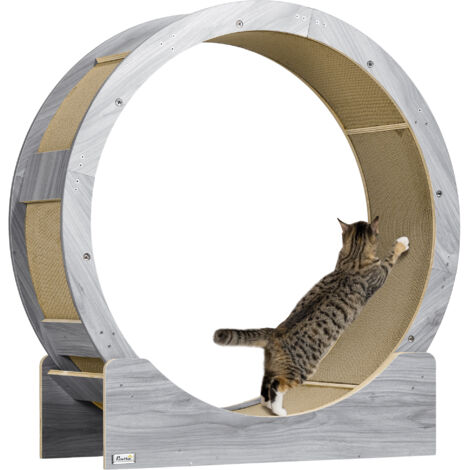 Ruota per gatti con freno e cuscinetti antigraffio - Grigio