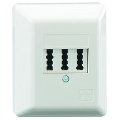 RUTENBECK 10310114 Telefonanschlusseinheit AP reinweiß-'1047237'