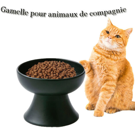 Rwoythk – Bol en céramique surélevé pour animaux – Antidérapant – Confort optimal pour chats et chiens – Réduit la fatigue du cou