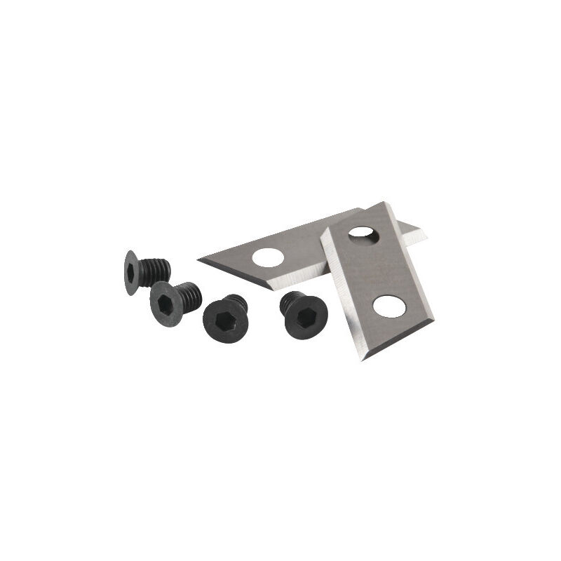 

Cuchillas para trituradoras de plantas - RAC351 - Ryobi