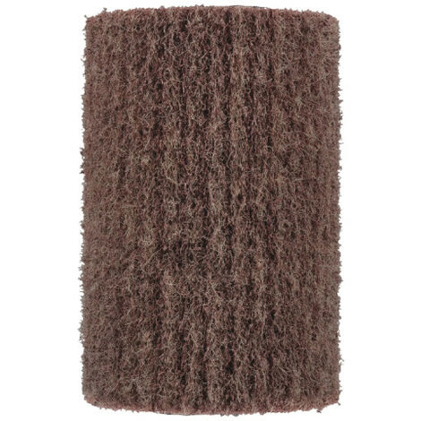 RYOBI Brosse à récurer nylon pour nettoyeurs de sols sur batterie - RAC825