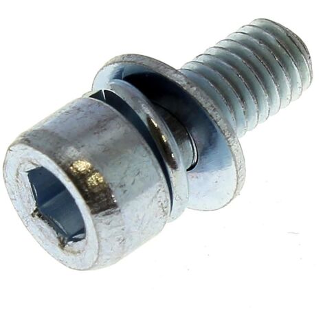 Ryobi – Vis de carter de protection pour débroussailleuse – Accessoire essentiel – Compatible avec modèles RBC1020 et RBC1226i – Fixation sécurisée - 5131029121