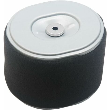 S-giant Air Fit pour moteur Honda gx340 GX390 11hp et 13HP Aftermarket 17210-ze3 ze3-505,17210-010 Stens:100-012,Oregon:30-417,Rotary:19-7712 5252697