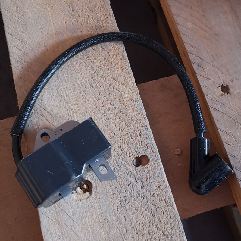 S-giant - Allumeur et bobine d'allumage haute tension pour 124 125 128 125B 125BVX 125BX (545108101) compatible.