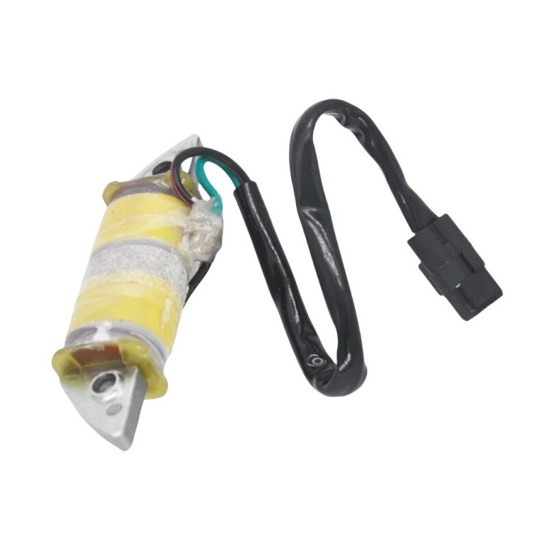S-giant - Bobine d'allumage et de charge pour moteur hors-bord Suzuki dt 25-30HP - Compatible avec 32140-96310.