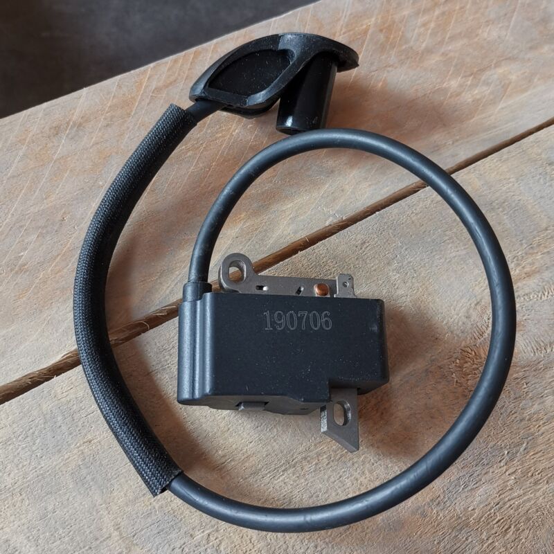 S-giant - Bobine d'allumage FS120 FS200 FS250 (nouvelle version après 2016) compatible.