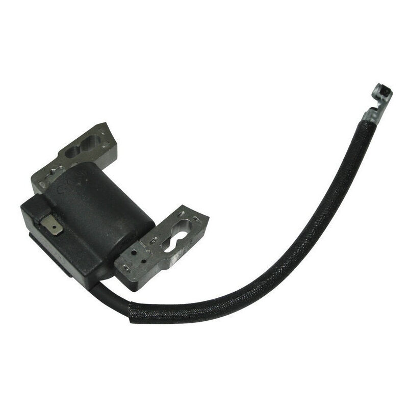 S-giant - Bobine d'allumage haute tension et allumeur pour Briggs & Stratton 797040 compatible.