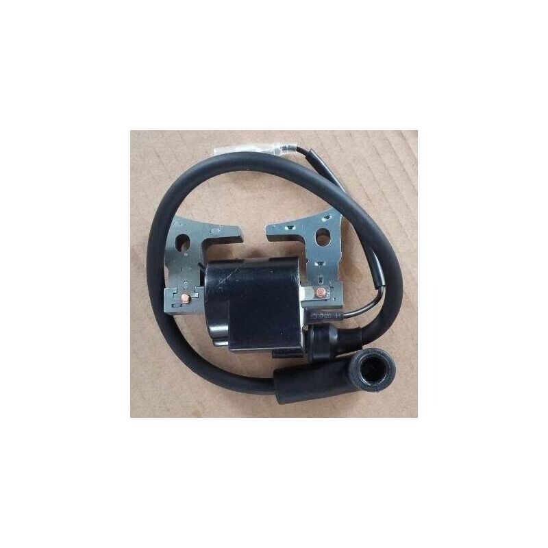 S-giant - Bobine d'allumage haute tension et allumeur pour Robin EH12 compatible.