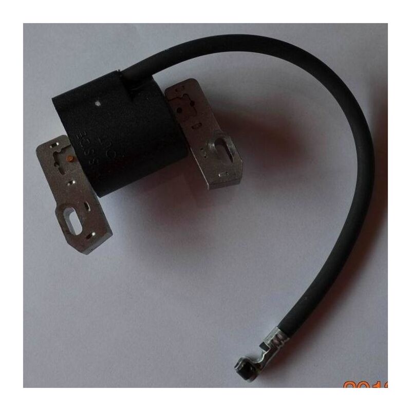 S-giant - Bobine d'allumage haute tension pour Briggs & Stratton 691060 799651 843931 844548 845606 compatible.