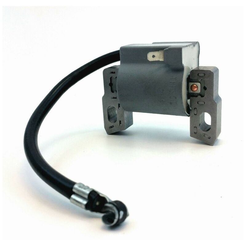 S-giant - Bobine d'allumage haute tension pour Briggs & Stratton 796500 compatible.