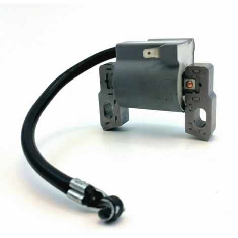 S-giant Bobine d'allumage haute tension pour Briggs & Stratton 796500 compatible.