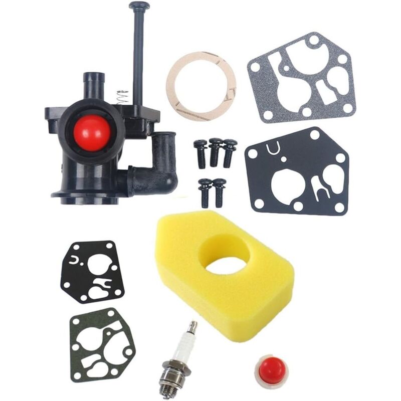 S-giant - Carburateur avec Filtre à air 698369 Compatible with Briggs & Stratton 499809,498809A,494406,795477,795469,794147,699660, 794161, 498811