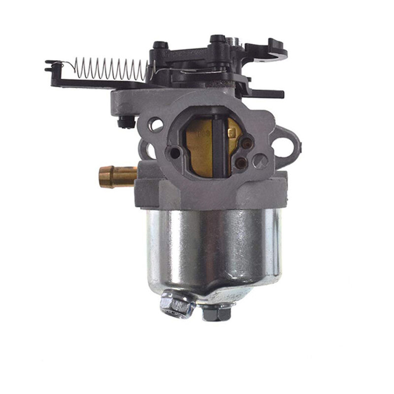 S-giant - Carburateur compatible avec Briggs&Stratton 591852 590834 793493 793463.