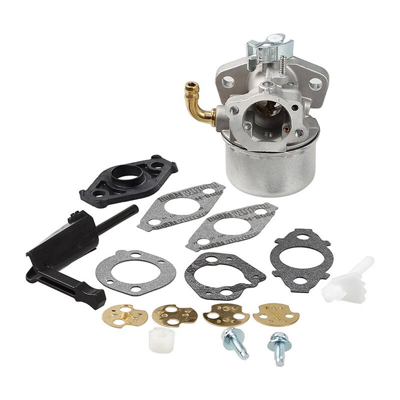 S-giant Carburateur compatible avec la plupart des moteurs briggs & stratton (798654 792970 150000).