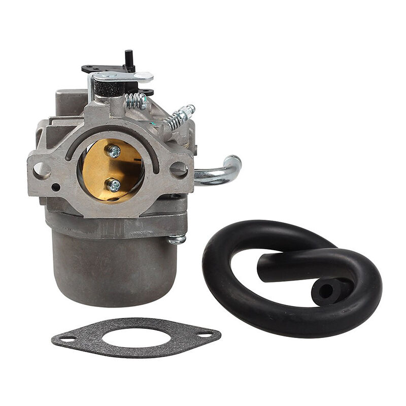 S-giant - Carburateur compatible avec tondeuse briggs &stratton (590399 796077 moteur cc760).