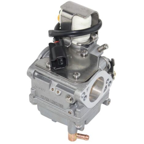 S-giant Carburateur pour moteur hors-bord Yamaha 4 temps  20 chevaux pour le commerce international - Compatible avec 65W-14901-10/11/12.