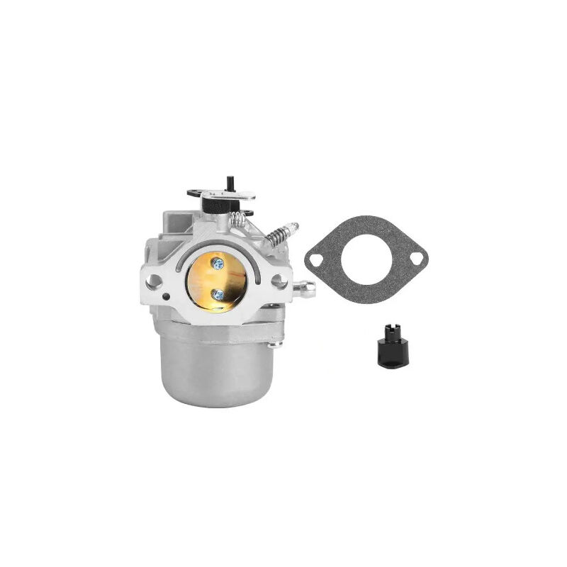 S-giant - Compatible avec carburateur Briggs&Stratton pour moteur 12HP 12.5HP (799728 498027 498231 494502 494392 496592 498298) applicable aux
