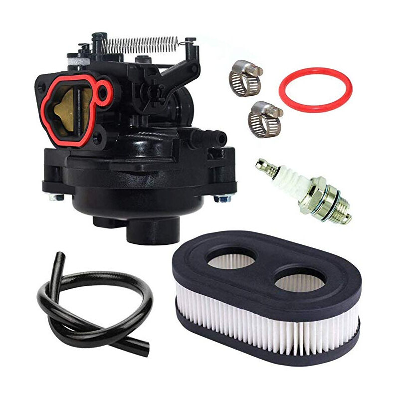 S-giant - Ensemble de carburateur Briggs & Stratton 799584 - 09P702 - 0145 - F1 - Avec filtre à air tuyau d'huile etc.