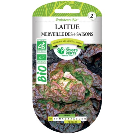 Saatgut Lettuce Wunder der 4 Jahreszeiten BIO Die grünen Finger