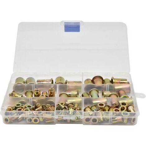 SABIR Acier Rivet Rivets Inserts éCrous - Assortiment Inoxydable éCrou Outil Plat D'éCrous Aveugles Ensemble Capuchons Carbone Galvanisé Filetage TêTe Plate Avec BoîTe Rangement M3 M4 M5 M6 M8 100 Piè