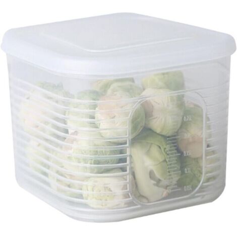 SABIR Boîte de Rangement Oignon Gingembre Ail, Matériau Sûr, évite les Odeurs, Polyvalente, Petite et Pratique, Adaptée au Stockage au Réfrigérateur, Idéale pour le Stockage dans la