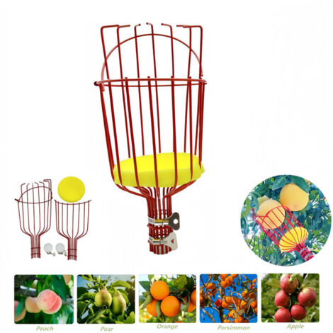 SABIR Cueilleur de fruits, tête de ramassage de fruits, bâton de ramassage en métal, outils de jardinage pour arbres fruitiers, sans perche télescopique(rouge)