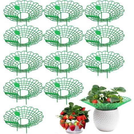 SABIR Ensemble de 12 pièces (vert) support à fraises, support pour fraisiers, petites fraises matures, support pour plantes en filet de fraises de balcon, protège les fraises