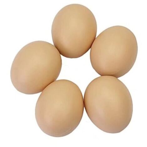 SABIR Faux oeufs de nid artificiels, maison, décoration de jardin