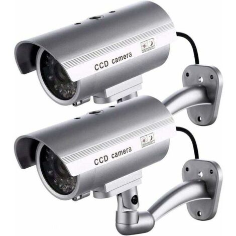 SABIR Lot de 2 caméras factices pour intérieur ou extérieur, en forme de sphère et LED clignotante RTGPT (argent)