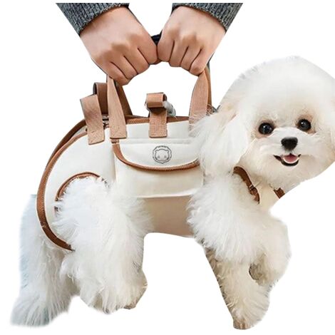 Sac à dos de transport pour animaux - Sac à dos pour chien avec pochette à friandises - Sac de transport portable et ajustable pour les sorties, promenades et entraînements en toute sérénité