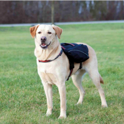 Sac à dos / harnais pour chiens Désignation : Sac à dos pour chiens Taille : L-XL Trixie 28834