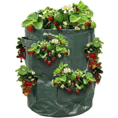 Sac à fraisiers Sac de Plantation pour Fraises Vert