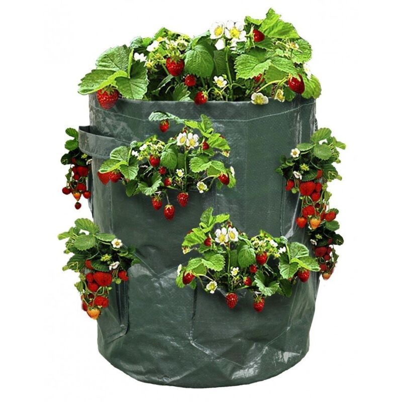 Sac à fraisiers - Sac de plantation pour fraises - X2 Vert - Vert