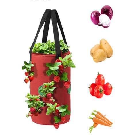 Sac de plantation fraise, sacs à plantes suspendus, pour fraises/plantes/herbes/fleurs/légumes, respirant, solide et durable, 20 × 35 cm, rouge