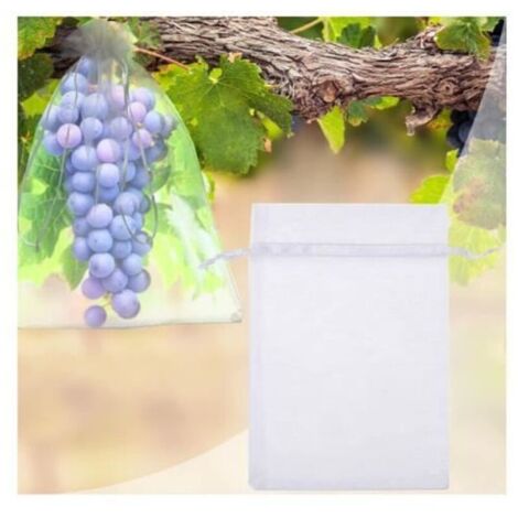 Sac de Protection pour Fruits en Organza Transparent – Lot de 100 pièces (30 x 20 cm) – Idéal pour Pommes, Poires et Fruits Délicats