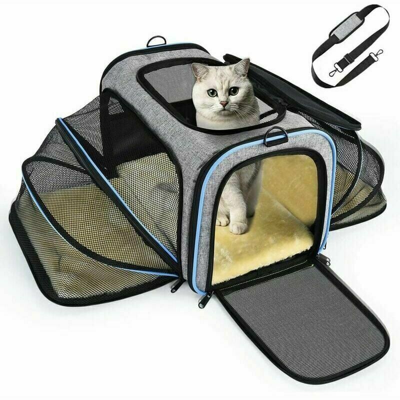 KZQ - Sac de transport extensible pour chats et chiens, avec structure solide, filet respirant, et espace spacieux. Pratique pour les voyages en