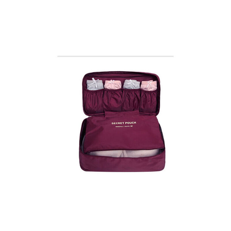 Sac de voyage multifonctionnel pour sous-vêtements, sac de rangement pour soutien-gorge, sac de rangement pour vêtements et culottes