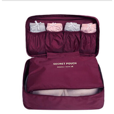 Sac de voyage multifonctionnel pour sous-vêtements, sac de rangement pour soutien-gorge, sac de rangement pour vêtements et culottes
