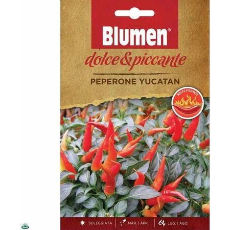 SACHET AUX GRAINES DE PIMENT YUCATAN TRÈS PIQUANT