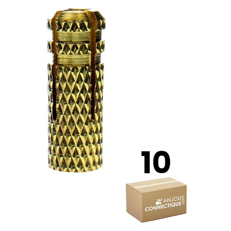 Sachet de 10 chevilles laiton Ø12 mm type M10 tout type de fixation - Longueur 32 mm RAM