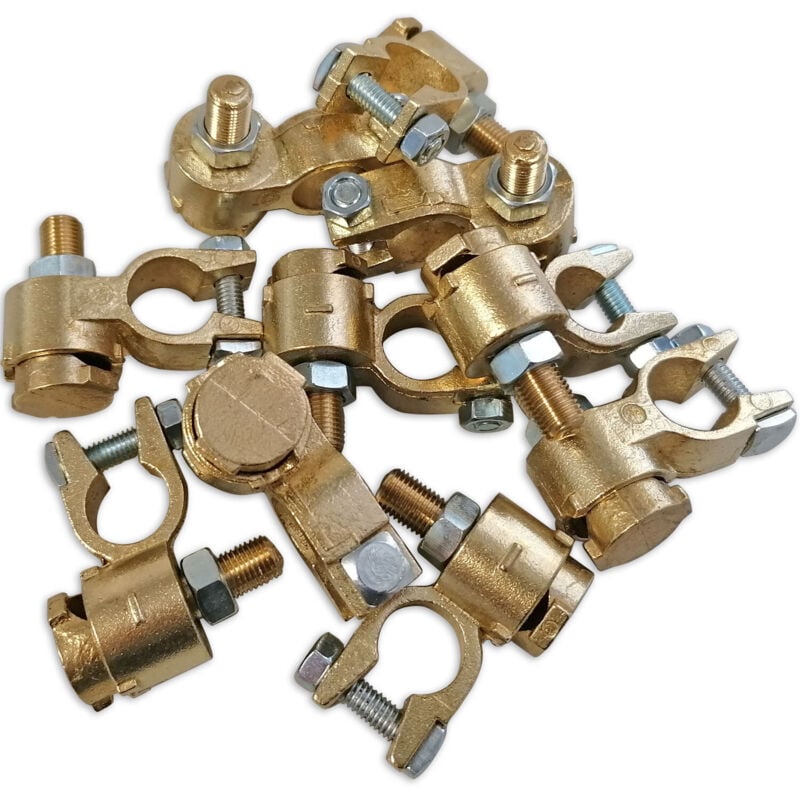 Sachet de 10 cosses batterie pl double serrage negatives