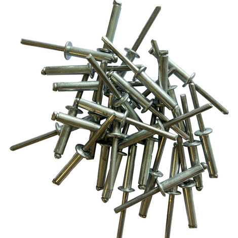 Sachet de 200 rivets acier standards de 6.4 x 30